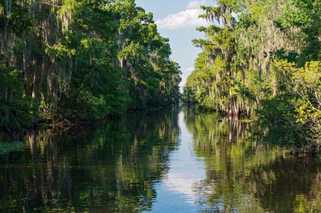 Mississippi River Water Action Collaborative